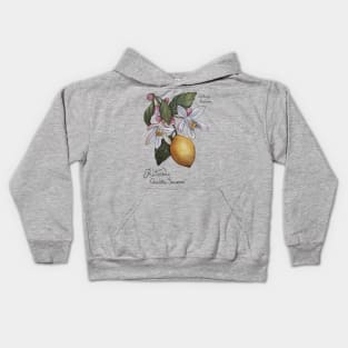 Citrus Lemon Botanical Illustration blossom and leaves Kids Hoodie